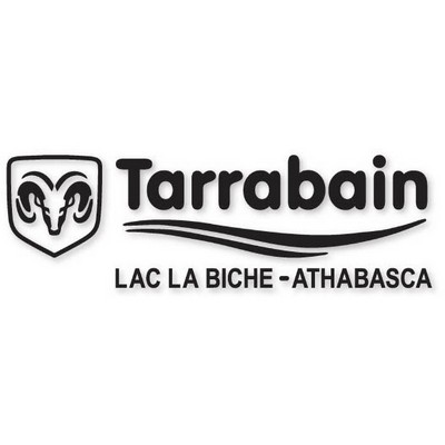 Econo Silhouette Decals .0025 Calendered 5 year vinyl (20.1 to 25 sq/in) non-imprinted